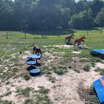 Squirrel Ridge Dog Park